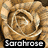 A four-quadrant displays distinct visual elements: a rose, text on colored backgrounds, and a heart-shaped musical symbol