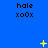 Blue background with repeated 'hale xOx' text and yellow star-like animations in a