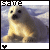 A pixelated seal pup sits on a snowy background with text above and below, showing slight variations in pose and text across three