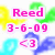 Pixelated icon with pink text 'Reed' and date '3-6-09', surrounded by yellow, green, cyan, and blue pixel clusters.