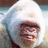 A pixelated image of a person with white hair wearing a light blue headscarf, smiling against a blurred background.