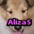 A four- shows a dog with text overlays: top-left 'AlizaS', top-right 'Loves', bottom-left 'Rough Collies!!!', and bottom-right empty