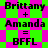 Pixelated text displays 'Brittany + Amanda = BFFL' on a green and pink checkered background with two identical layouts