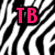 Four distinct pixelated backgrounds with overlaid text: zebra stripes, leopard spots, wood grain, and solid gray.