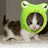 A pixelated cat wearing a bright green frog hat with large eyes, standing against a gray background.
