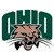 Pixelated icon shows a brown animal head with black stripes and white whiskers in front of large green letters spelling OHIO.
