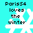 Pixelated cyan background with white snowflake and black text reading 'Paris554 loves the winter' in four identical
