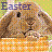 Animated contact sheet of six Easter bunny frames with text labels, showing a brown rabbit in an orange basket against a green background.