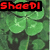 Animated sequence of four-leaf clover images with changing text overlays in various colors.