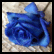A static pixelated image of a blue rose with layered petals against a light brown textured background.