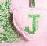 Pixelated static image with green and brown shapes on a pink background, featuring abstract forms resembling foliage or stylized figures.