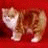 A pixelated cat stands on a red background with radiating lines and blue text reading 'Nice Kitty!' to the right.