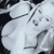 Static grayscale icon of a stylized bikini top with visible fabric folds and shadow lines on a dark background.
