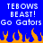 Blue background with white pixelated text reading "TEBOWS BEAST! Go Gators Go Gators" and orange flame shapes at the bottom.