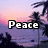 A beach sunset scene with palm trees and silhouetted figures, featuring text overlays reading Peace, Love, Summer '09.