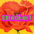 Four distinct pixelated images of a flower and landscape with text overlays, each with unique color schemes and backgrounds.