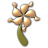 Flower Icons: Archyesie Icon