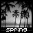Black-and-white palm tree beach scene with pixelated text overlays reading 'spring', 'break', and '2004' across three