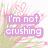 Pixelated text overlays on a colorful background with floral and star motifs, featuring phrases about not crushing but falling in love.