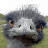 A pixelated animated buddy icon featuring a close-up of an ostrich's face on the left and bright green text reading 'hottie!' on the right against a white background.
