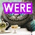 A pixelated cat with blue eyes and a grinning expression appears in multiple , each with overlaid text in different colors