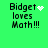 Green background displays four identical text blocks with 'Bidget loves Math!!!' and varying white pixel symbols above the name.