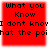 Red square with black text reading "What you Know I dont know what the point" in pixelated font, displayed in a