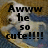 A four- shows a white dog in a brown bowl on blue fabric, with text changing