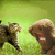 Two cartoon-style animal characters face each other against a green background; one holds a white object resembling a microphone.