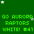 Green background with repeated text and white stars, displaying 'GO AURORA', 'RAPTORS', 'WHITE! #41' in green pixelated font across multiple