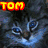 A four- of pixelated cat images with red and yellow text overlays reading TOM, LIKES, and CATS!!!