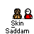 skinsaddam