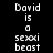 Pixelated text displays 'David is a sexxi beast' with green highlight bars shifting across different lines in an animated sequence.