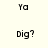 Pixelated text 'Ya' and 'Dig?' alternates on a light background in an animated sequence.