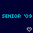 Pixelated blue text 'SENIOR '09' repeats across a dark background with white heart and arrow symbols shifting between frames.