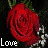 A 3x3 contact sheet of animated frames showing red roses with white baby's breath and the word "Love" in white text, each frame displaying a slightly different rose bloom state against a black background.