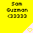 Yellow background with repeated text "Sam Guzman (3333)" and white triangular icons containing yellow hearts, showing animation frames where heart pixels change from solid to outline.