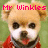 Pixelated image of a light brown dog with white facial markings wearing a red garment, with pink text reading "Mr Winkles" above its head against a green background.