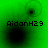Green background with four black circular shapes and pixelated text reading AidanH29 in each quadrant.