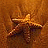 A pixelated starfish on a brown textured background with green text reading 'Original Icons .com' on the right side.