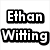 six with text and an image: top-left 'Ethan Witting', top-middle 'Really', top-right '<3's', bottom-left cow face, bottom-middle '-alot-', bottom-right empty gray