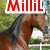 six horse-themed images with text overlays, including a brown horse head and multiple "Love" or "Loves Horses" captions