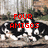 A pixelated image of a black and white dog lying on a stone surface with red text overlays listing names.