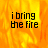 A static image with a fiery orange-yellow background and black text reading "i bring the fire" in a pixelated font.