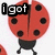 A red ladybug with black spots and legs appears in a , with text overlays changing across frames