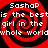 Red and black spiral background with white text repeating 'Sashap is the bestis girl in the whole world' across four identical
