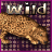 iconhell_bapity88_wildthang