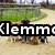 Animated sequence showing dogs in a fenced area with text overlays changing across frames.