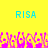 Yellow background with two cyan 'RISA' text blocks above a pink and orange pixelated pattern resembling flowers or abstract shapes.