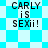 Pixelated text 'CARLY is SEXii!' displayed on two distinct background patterns with cyan and white color scheme.